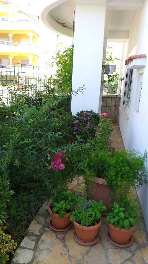 Apartment Manda Zadar Zewnętrze zdjęcie